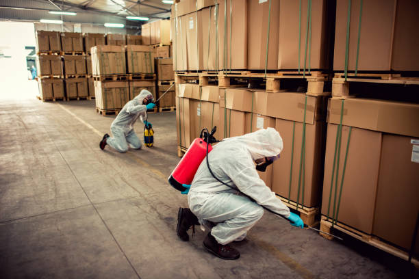 Best Affordable Pest Control Services  in Bound Brook, NJ