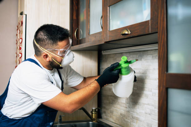 Best Local Pest Control Services  in Bound Brook, NJ