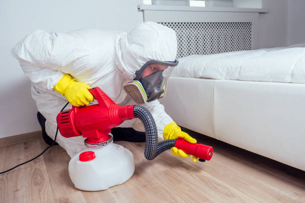 Best Residential Pest Control  in Bound Brook, NJ