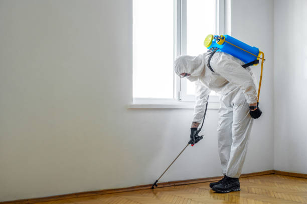 Best Bed Bug Extermination  in Bound Brook, NJ