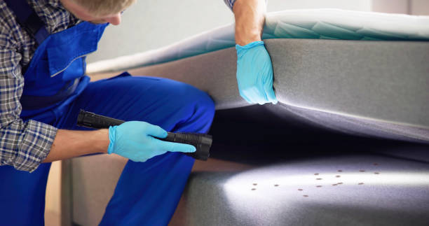 Best Pest Control Near Me  in Bound Brook, NJ